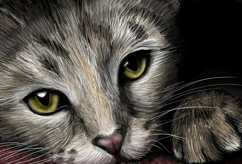 Cat, pisica, animal, digital, art, face HD wallpaper