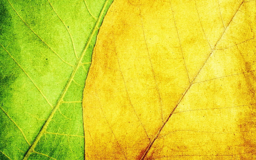 Yellow green background HD wallpapers | Pxfuel