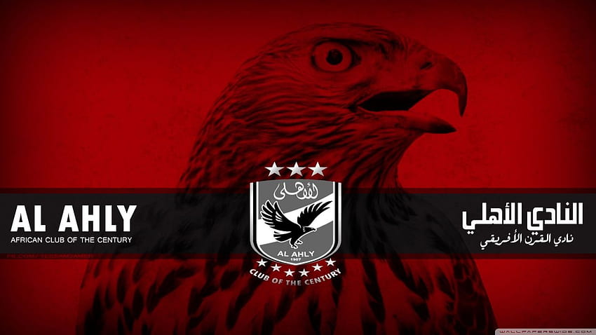 Al Ahly Ultra Background for U TV, Alahly HD wallpaper