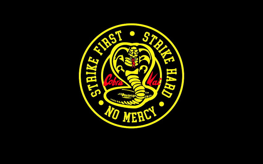 BigBadToyStore - The Karate Kid Cobra Kai Logo Pin - $9.99  https://www.bigbadtoystore.com/Search?HideSoldOut=true&PageSize=50&SortOrder=New&ProductType=107&Department=7388  | Facebook