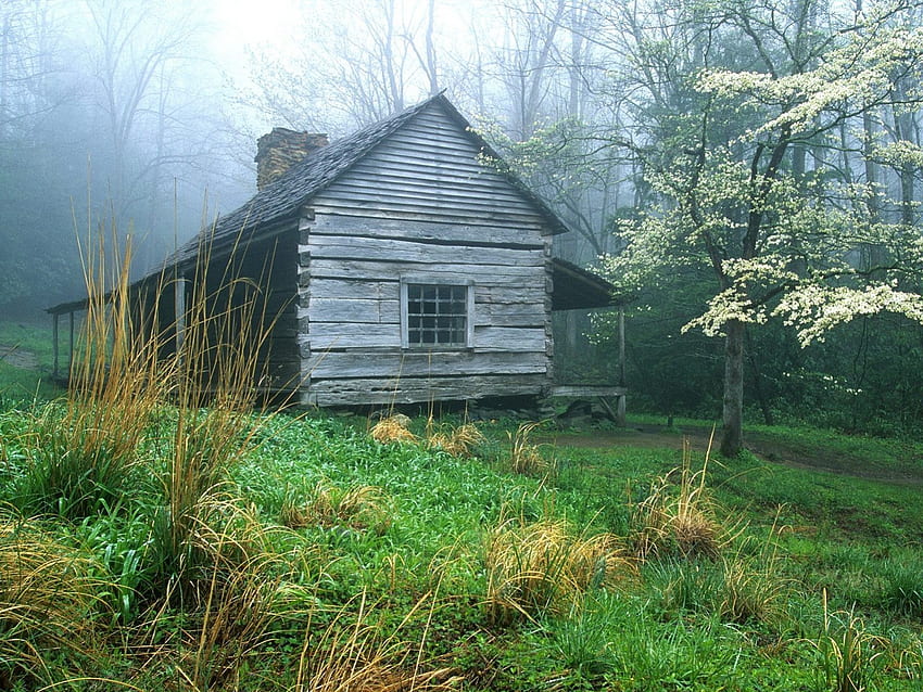 cottage in the cloud forest, farms, cottage, forest, cloud HD wallpaper