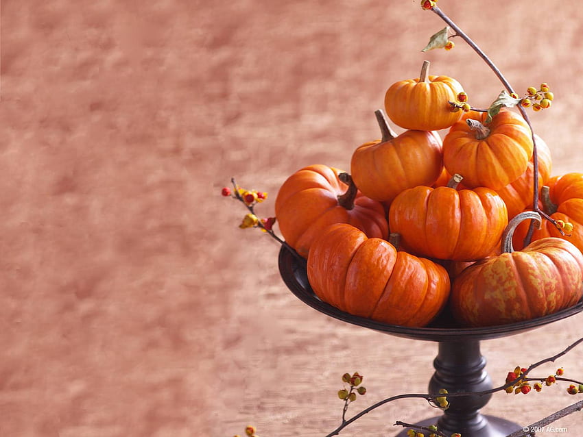 Thanksgiving and Background, The Prettiest Thanksgiving HD wallpaper