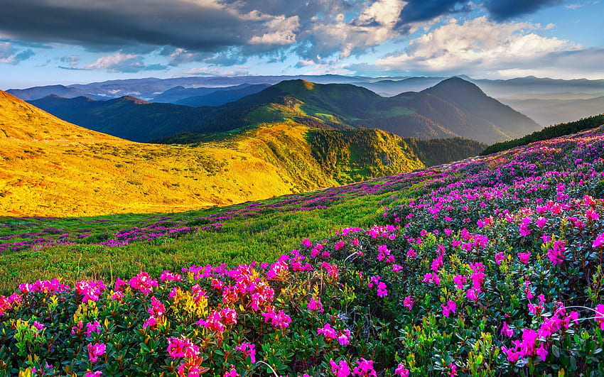 멋진 풍경 - 아름다운 풍경 이란 -, 이란 자연 HD 월페이퍼