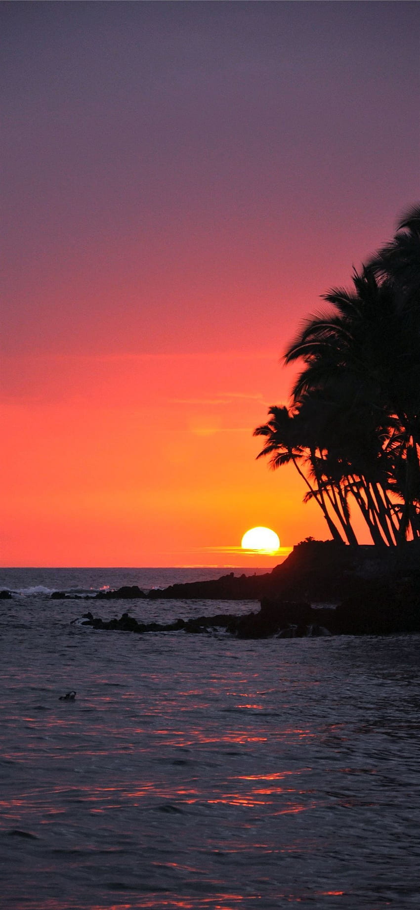 Big Island Sunset Hawaii HD電話の壁紙