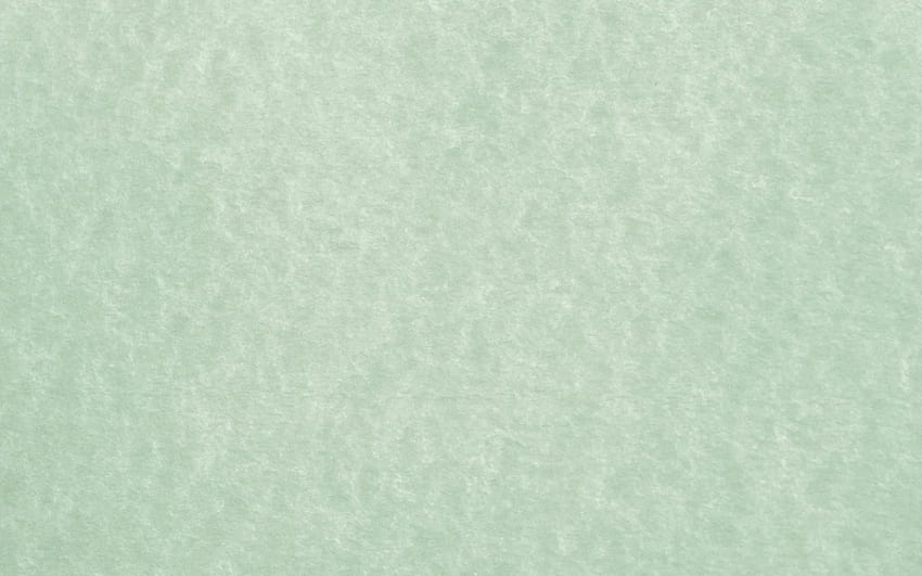 Salbeigrüner Pergamentpapier-Hintergrundhintergrund [] für Ihr , Handy und Tablet. Entdecken Sie Salbeigrün. Hellgrün texturiert, grün texturiert, grün HD-Hintergrundbild