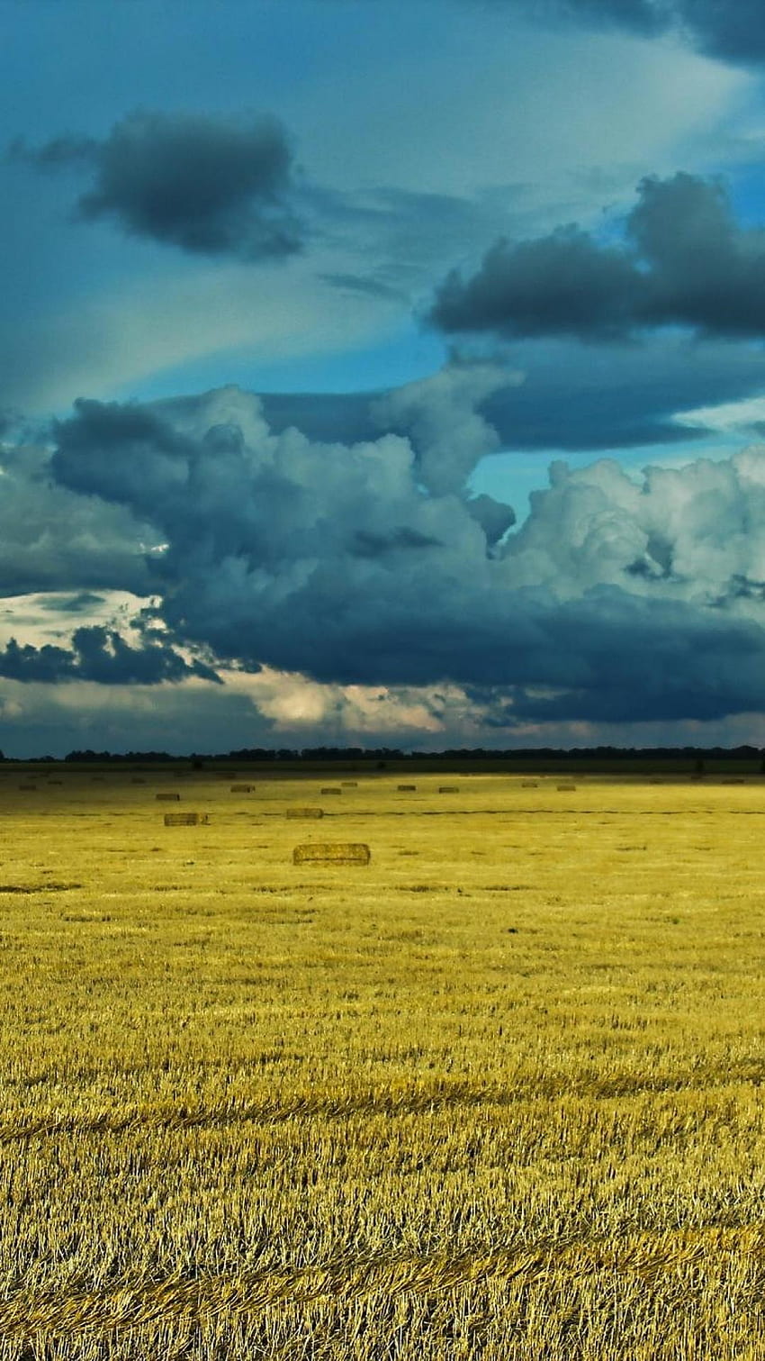 Ukraine nature prairie HD phone wallpaper
