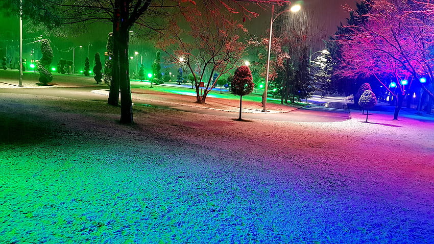 Winternacht im Park, Grafik, Schnee, Farben, Natur, Park, Winter, Nacht, Magie, Wunderland HD-Hintergrundbild