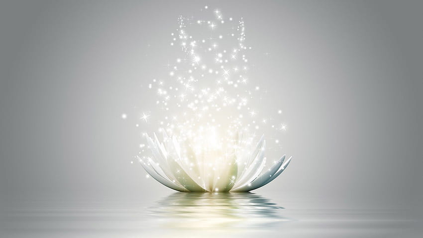 Yoganın Sembolü Olarak Animasyonlu Beyaz Lotus Çiçeği. HD duvar kağıdı