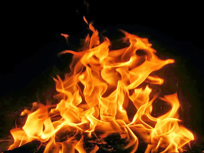 Live-Feuer, Feuereffekt HD-Hintergrundbild