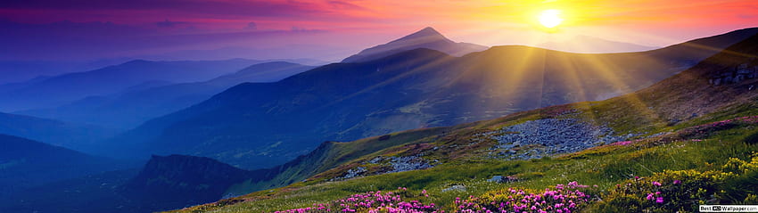 Sunrise and spring flowers, Spring 3840X1080 HD wallpaper
