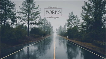 Forks Washington, twilight forest HD wallpaper | Pxfuel