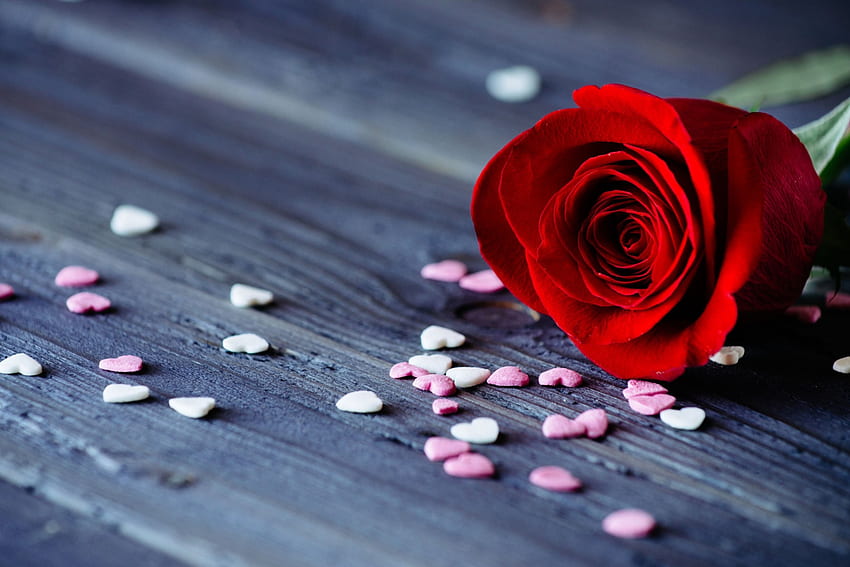Tujuan yang baik, hati, mawar merah, cinta Wallpaper HD