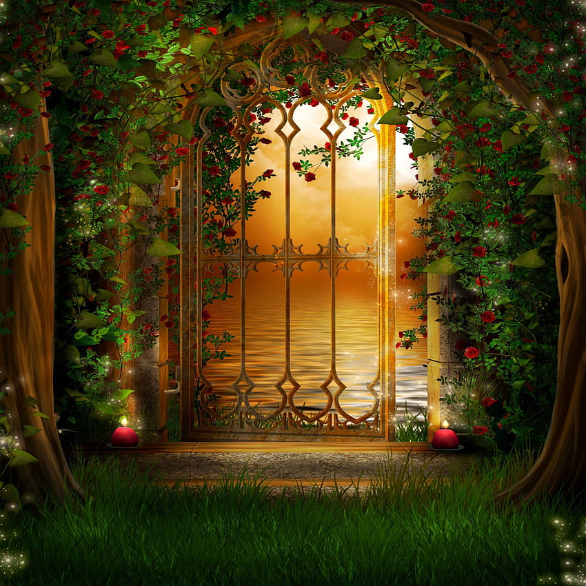 Romantik bahçeye açılan kapı. Orman arka planları, Arka planlar, Giriş yolu sanatı HD duvar kağıdı