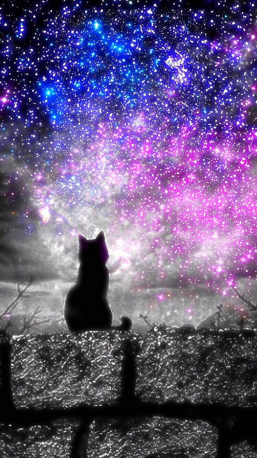 Galaxia del gato negro, galaxia del gato increíble fondo de pantalla del teléfono