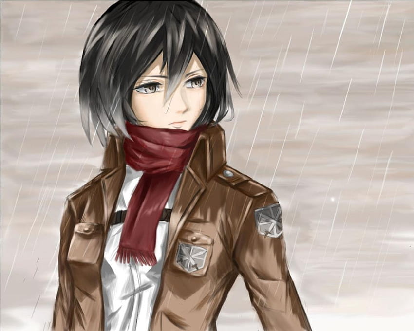 Mikasa Ảnh nền  Tải xuống điện thoại di động của bạn từ PHONEKY