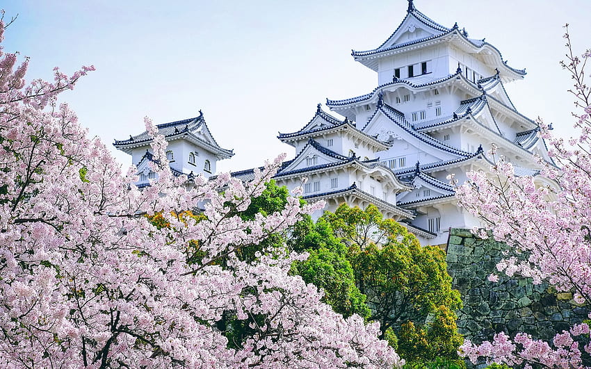 Японски замък - вишнев цвят, японски, архитектура, пейзаж, дървета, замъци, вишнев цвят HD тапет