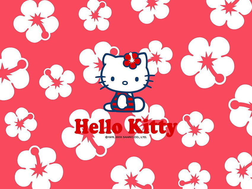 hello kitty face backgrounds for computers