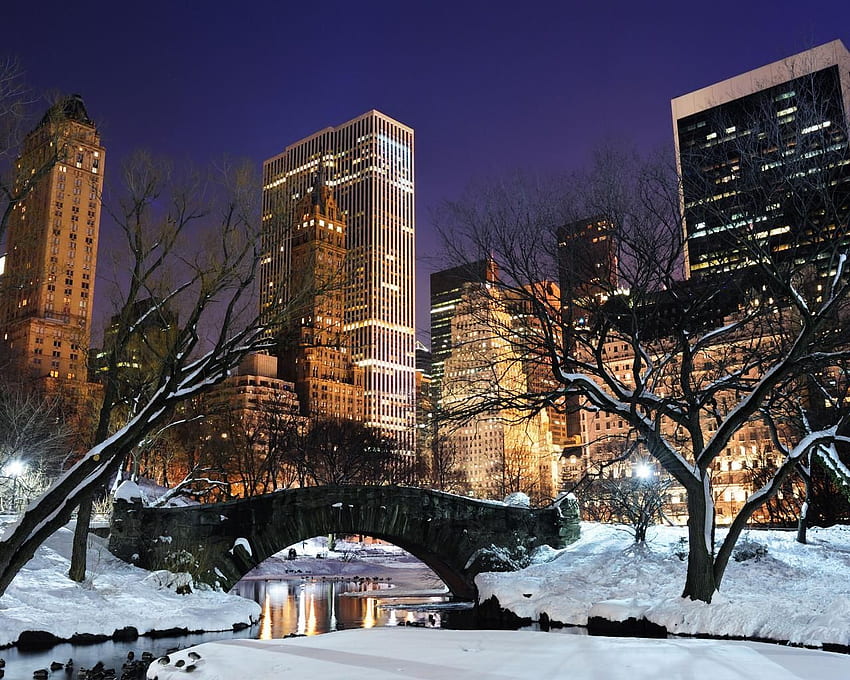 NYC At Night Central Park. Central Park Winter Night Nyc Computer, Winter in Central Park New York HD wallpaper