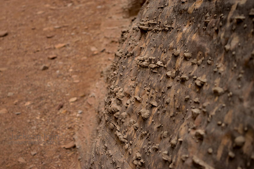 Ground, Soil, Road, Animal, Mud resized HD wallpaper