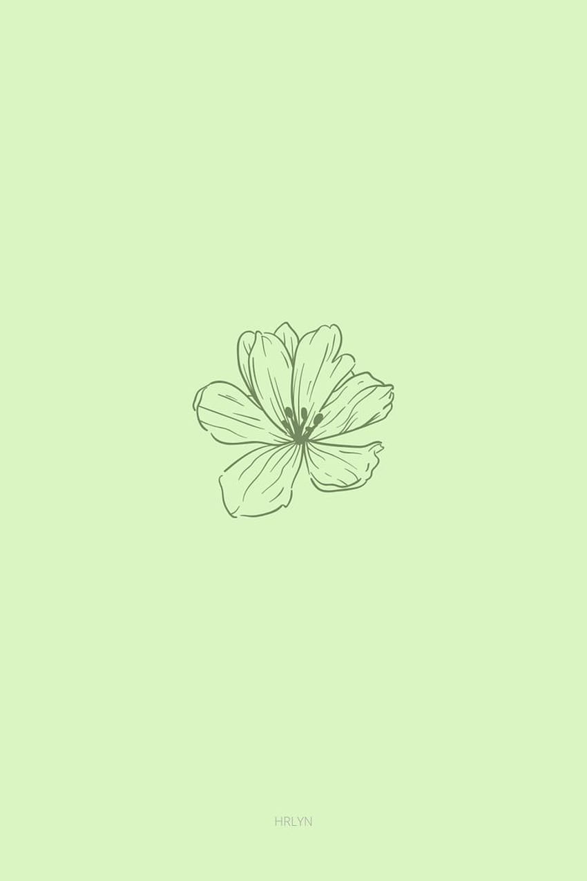 Desktop   Flower Green Minimalist Mint Green Aesthetic Dark Green Aesthetic Minimal 