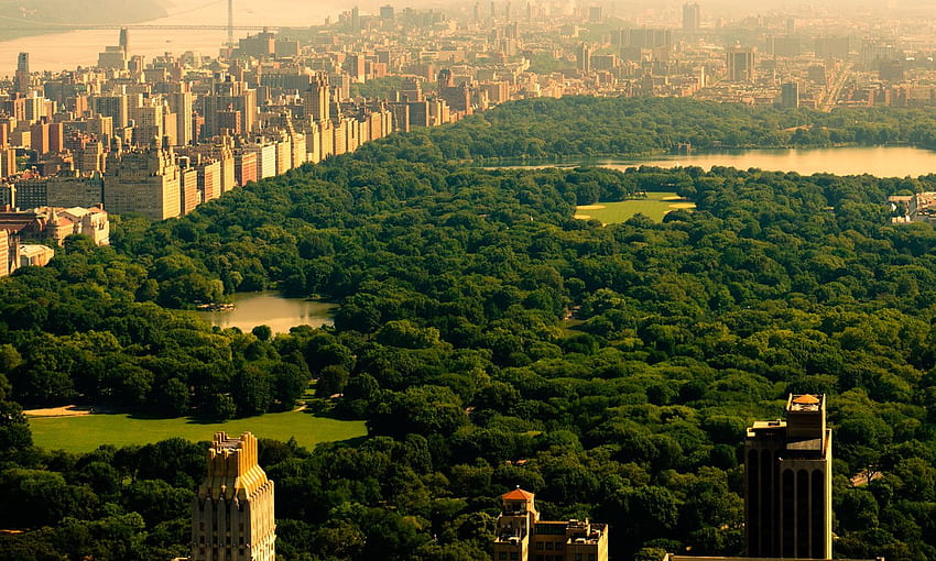 Explore el Central Park de Nueva York, Invierno en Central Park Nueva York fondo de pantalla