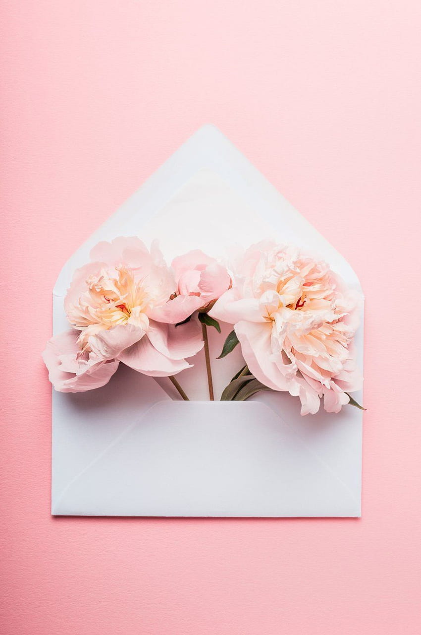 Enveloppe avec fleurs de pivoine pastel. Fond de fleurs roses, graphie pastel, fond de fleurs Fond d'écran de téléphone HD