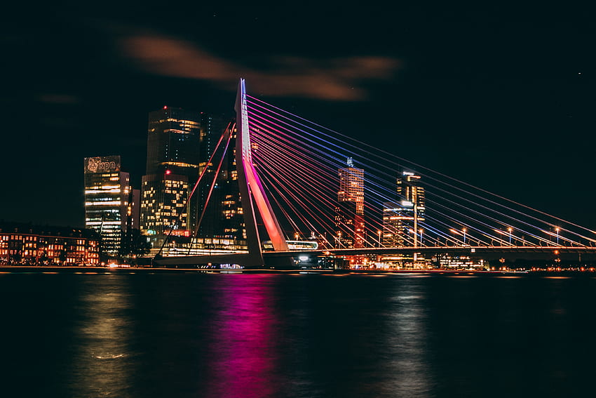 Puente Erasmus, noche, paisaje urbano, Rotterdam, noche fondo de pantalla