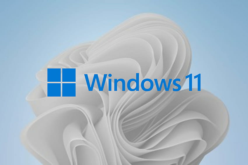การรั่วไหลของ Twitter แสดงให้เห็นว่าสติกเกอร์ Windows 11 เปิดอยู่ Windowsns 11 วอลล์เปเปอร์ HD