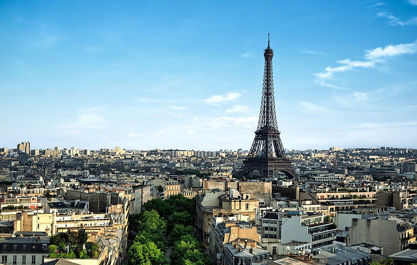 나무, 도시, 프랑스, ​​파리, 건물, 집, 아침, 파노라마, 에펠 탑, 파리, 건축물, 프랑스, ​​La tour Eiffel for , 섹션 город HD 월페이퍼