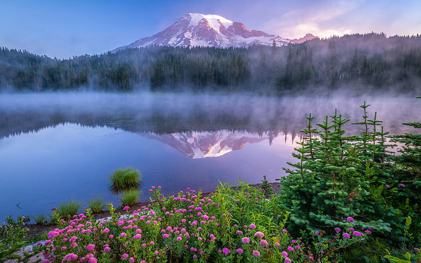Reflection Lake, планински пейзаж, Mount Rainier, планини, Cascade Range, сутрин, мъгла, гора, щат Вашингтон, САЩ HD тапет