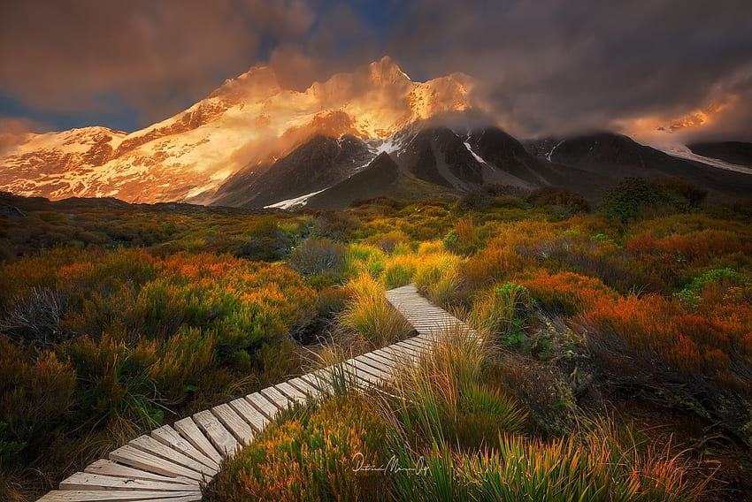 Sefton's Garden, Aoraki National Park, New Zealand . Background, Garden Mountain HD wallpaper