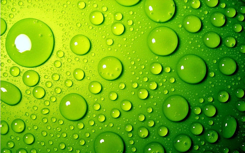 Green Water Drops Full . Pure Water HD wallpaper