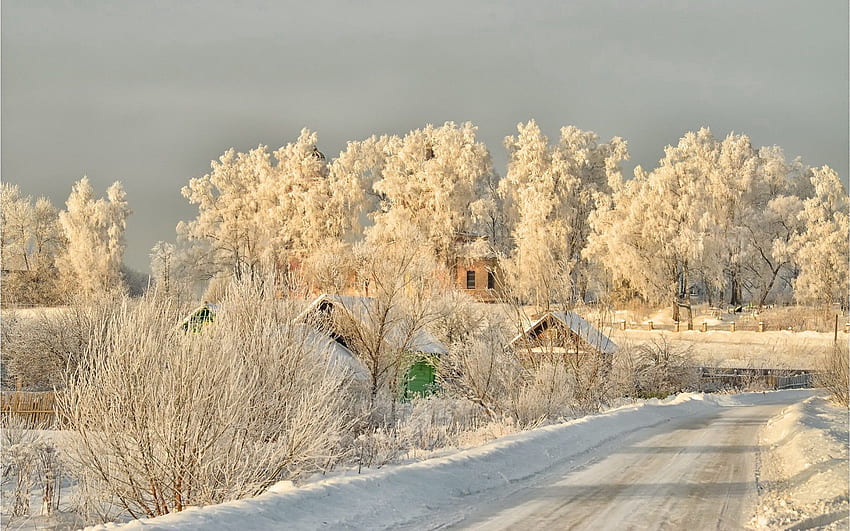 Inverno, natura, alberi, neve, strada Sfondo HD