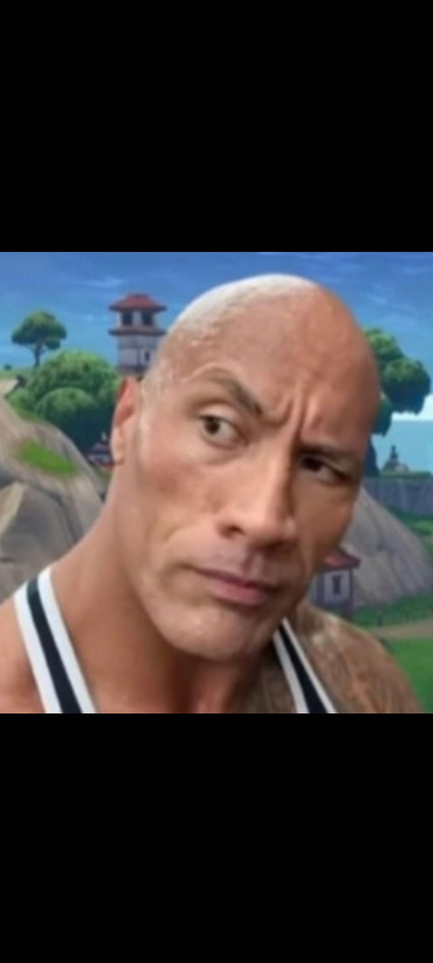 The Rock Sus Eyebrow, jaw, meme HD phone wallpaper