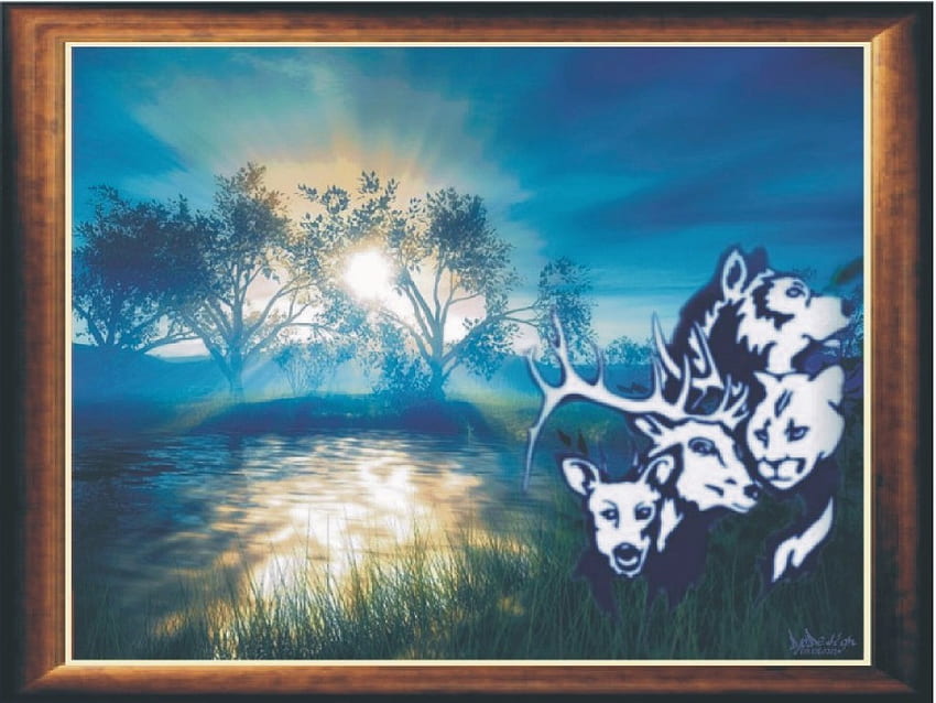 Paysage animaux , paysage animaux, animaux coucher de soleil HD-Hintergrundbild