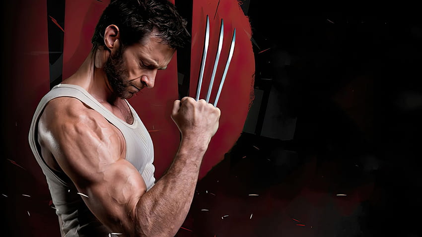 The Wolverine Theme for Windows 10 & 11, Wolverine Red HD wallpaper