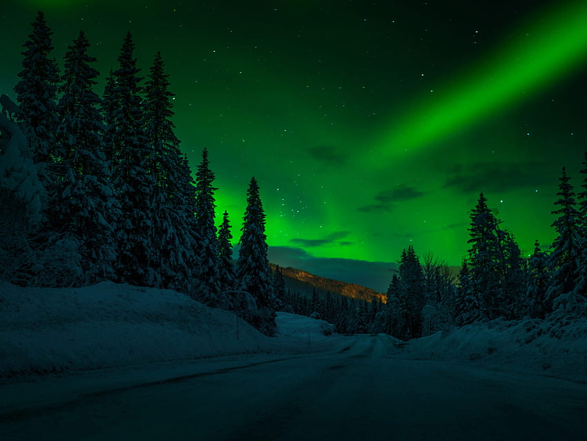 ノルウェー 夜 冬 雪 道路 木 木 星 星 空 極灯 夜 風景 グラフィティ 携帯電話やノートパソコン用 高画質の壁紙