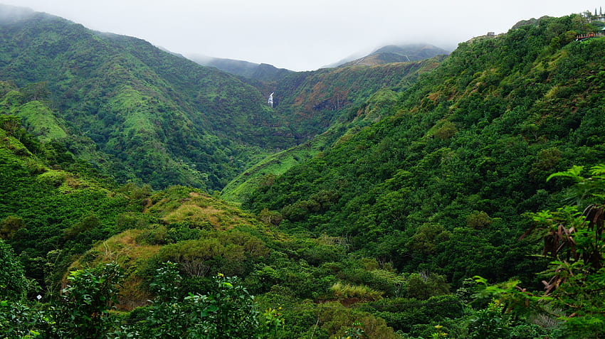 緑の山々、ハワイ、マウイ島、熱帯林の鳥瞰図 高画質の壁紙