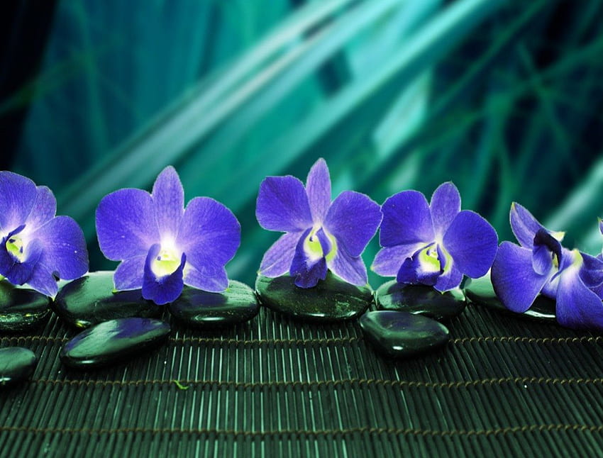 Harmonie, bleu, floral, agréable, délicat, joli, houblon, vert, fleurs, spa, ravissant Fond d'écran HD