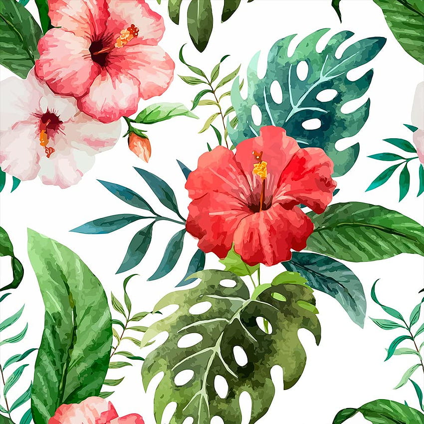 Murando Tropical Leaves Monstera 10m / 393.7 Roll Of Fleece Wall Paper Non Woven Premium Art Print Design Decorative Panel Flowers B B 0291 J B .uk: DIY & Tools HD phone wallpaper