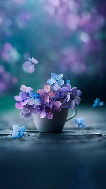 Teal Flower Background Images  Browse 15572 Stock Photos Vectors and  Video  Adobe Stock