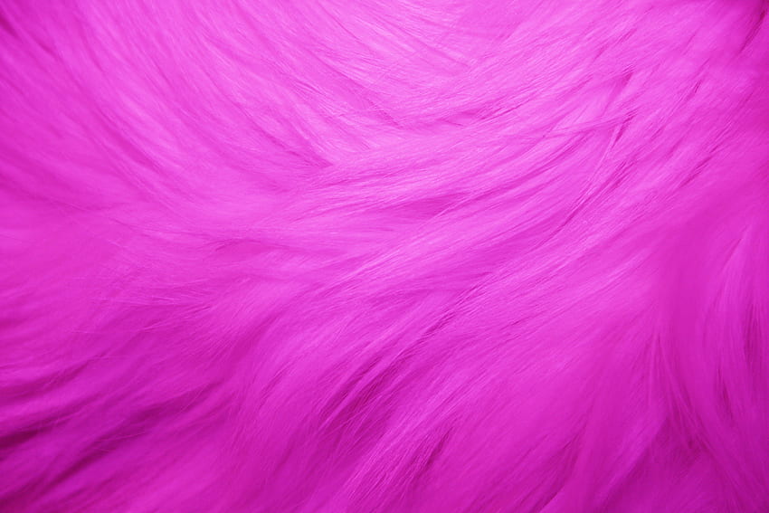 Fuchsia . Fuchsia, Bright Pink HD wallpaper