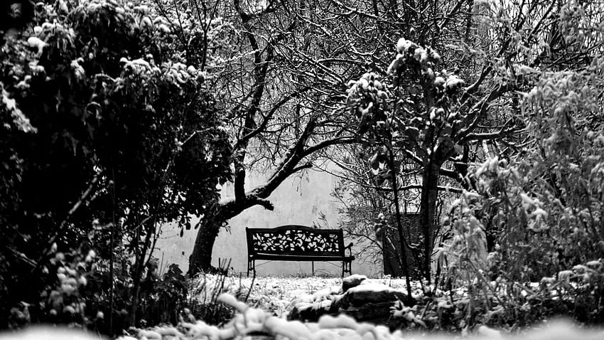 Black and White Bench in Winter . Wide HD wallpaper
