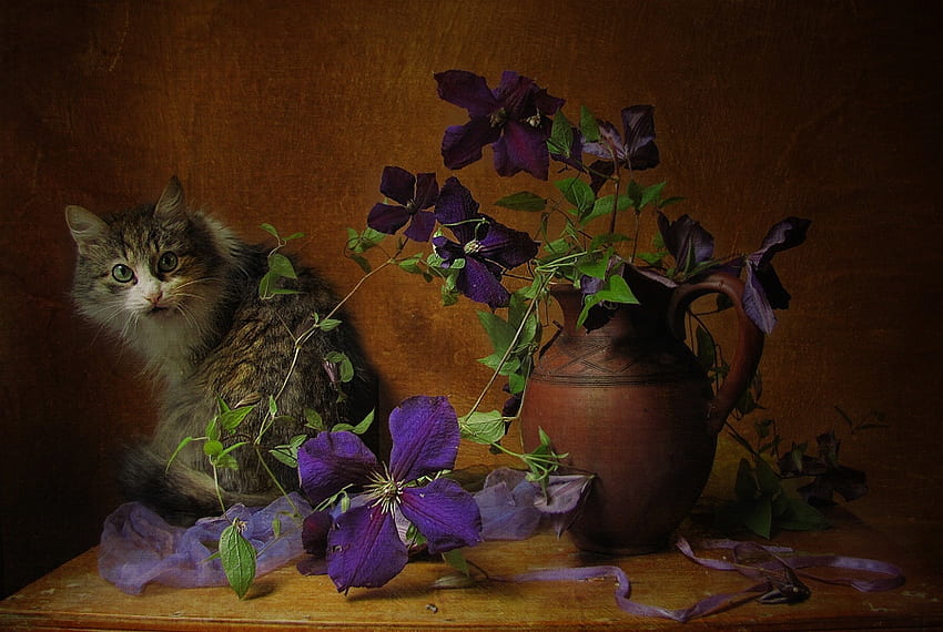 Still Life, kitten, sweet, graphy, kitty, cute, vase, cat, beautiful, purple, purple flowers, pretty, animals, flowers HD wallpaper
