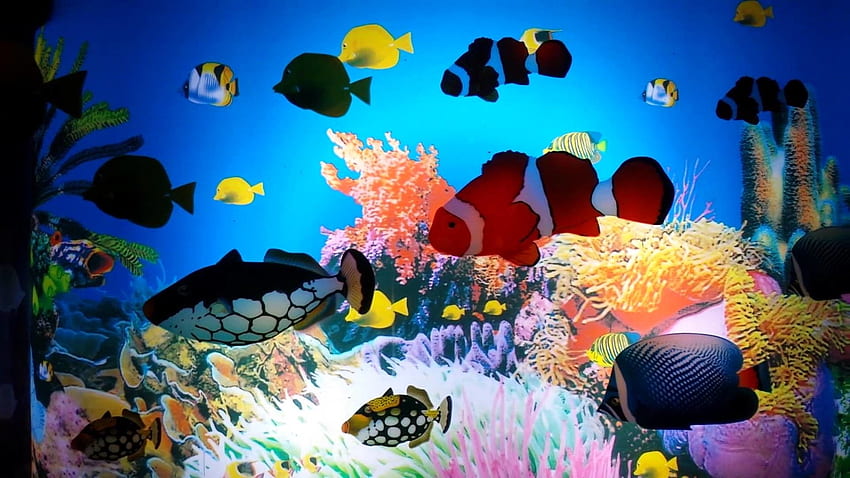 Animated Aquarium Scene Lamp HD wallpaper