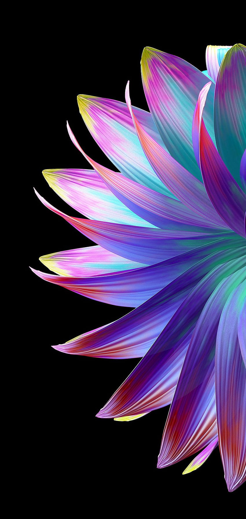 FLOWER AESTHETIC AMOLED . HeroScreen – Страхотно през 2021 г. Цветна естетика, Растение, Samsung galaxy HD тапет за телефон