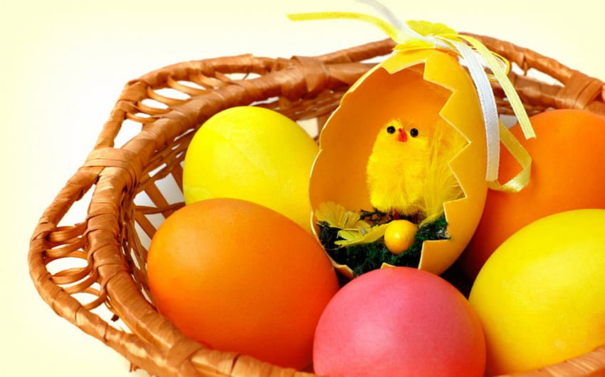 Ostereier, gefärbt, Küken, Ostern, Eier HD-Hintergrundbild