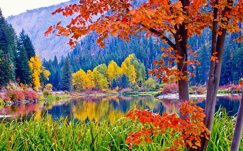 многоцветна есенна природна сцена, река, цветове, есен, гора, планина HD тапет