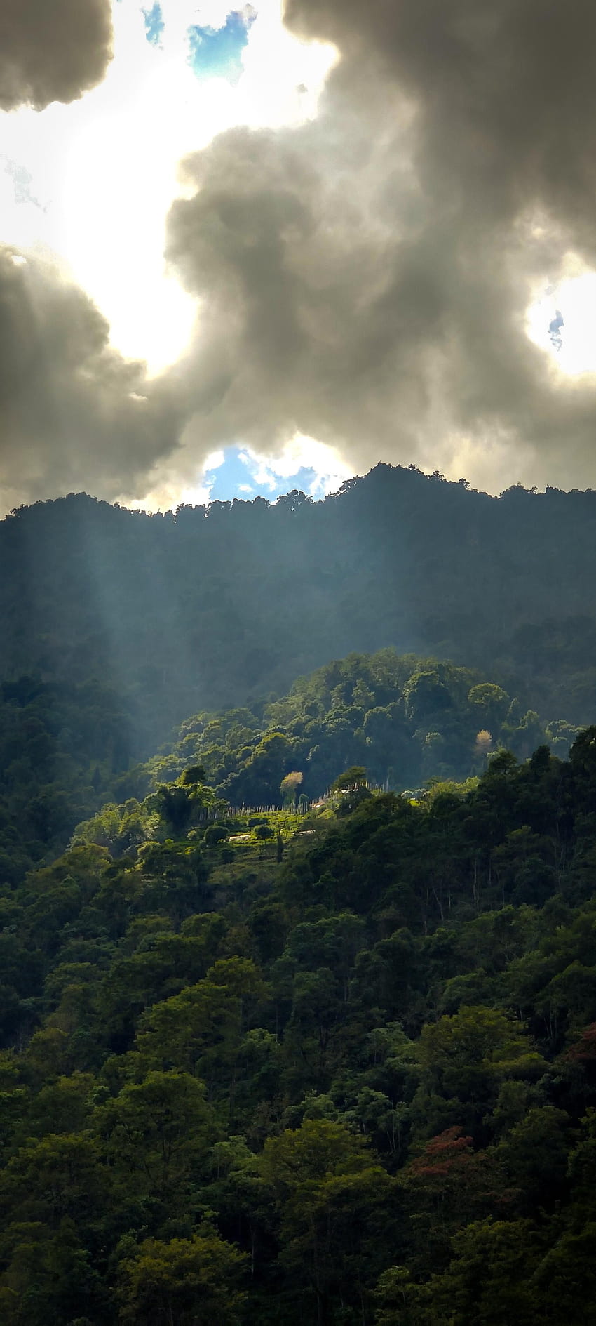 Surga di Bumi - Desa terpencil di pegunungan Sikkim India [OC][ ]. Hari berawan, Alam , Pemandangan , 1800x4000 wallpaper ponsel HD
