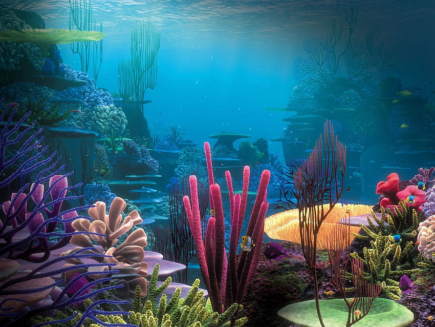 chiaro, colorato, colori, cool, barriere coralline, granchio, , digitale. Sott'acqua, subacqueo, acquario Sfondo HD
